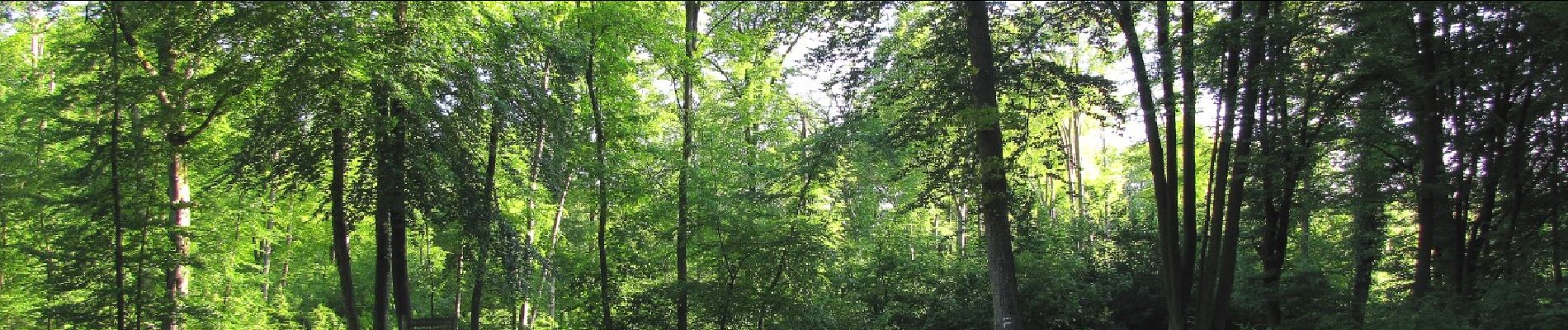 Point d'intérêt Trosly-Breuil - départ et arrivée - Photo