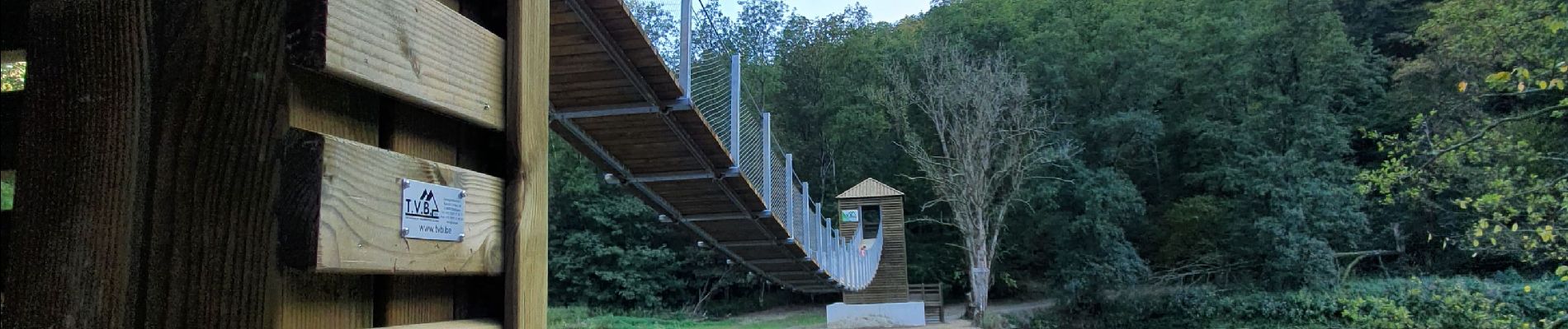 Tour Wandern Bouillon - Passerelle de l'Epine - Photo