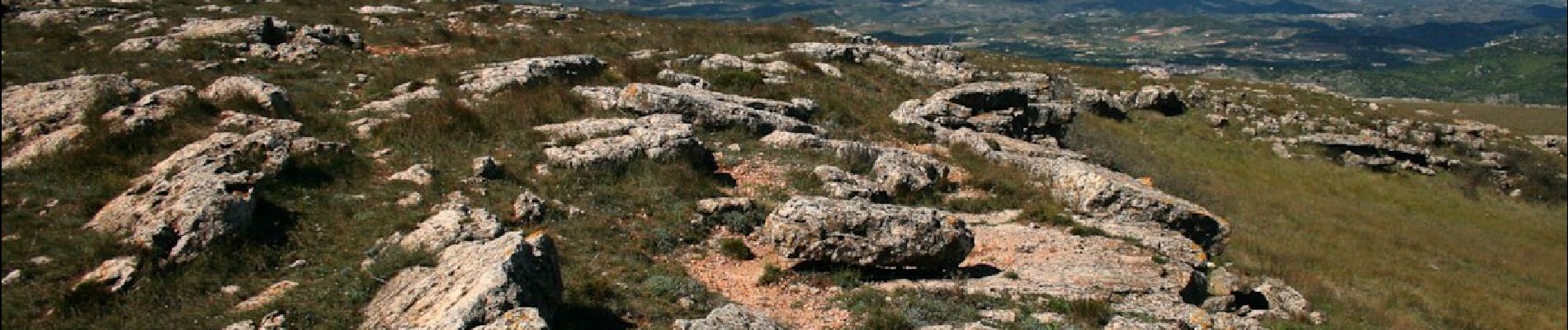 Percorso A piedi Colldejou - Les obagues de la Serra. Colldejou - Photo