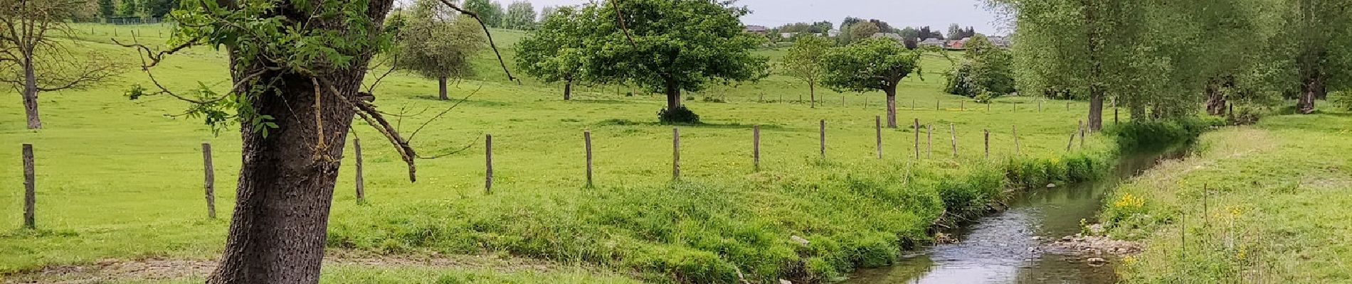 Trail Walking Blegny - La balade de Leval   - Photo