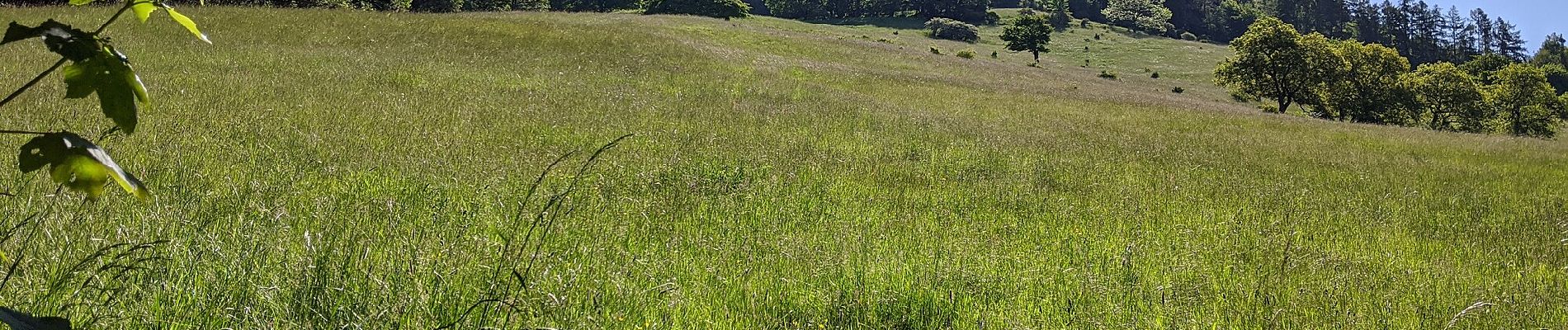 Excursión A pie Mírová pod Kozákovem - NS Kozákov - Photo