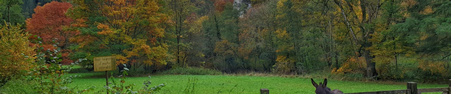 Randonnée Marche Dinant - La promenade du Parc Naturel de Furfooz - Photo