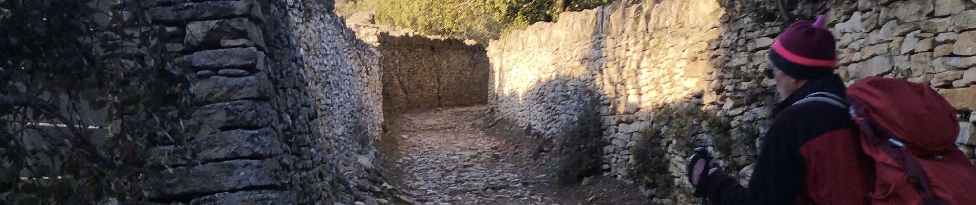 Trail Walking Gordes - Gordes Sénanque  - Photo