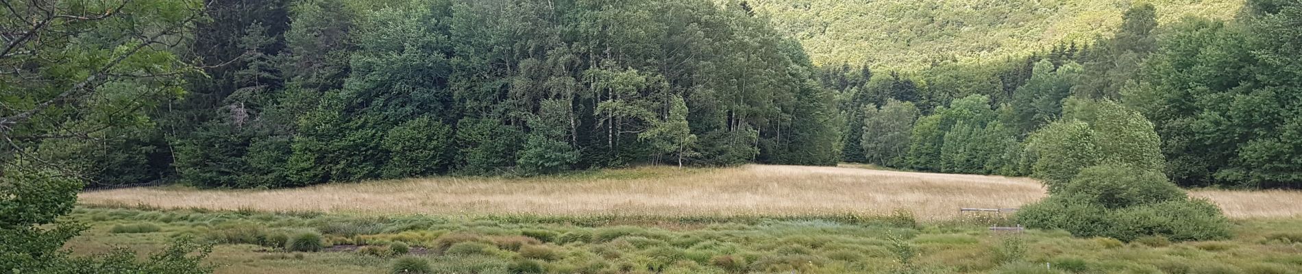 Excursión Marcha nórdica Claix - Les 'Très Hauts' du Peuil - Photo