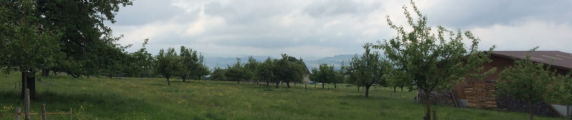 Randonnée A pied Schlierbach - Hunzikon - Wetzwil - Photo