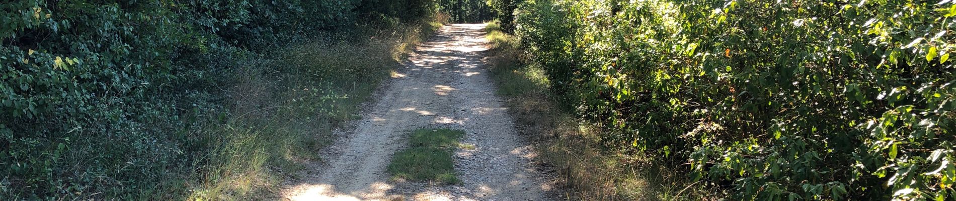 Randonnée Vélo électrique Montauban - V 23 - Photo