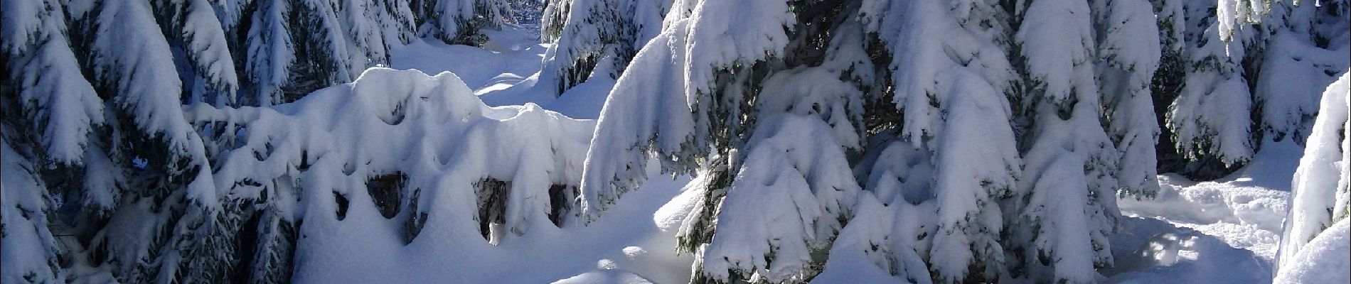 Tocht Stappen Haut Valromey - les bergonnes  - Photo