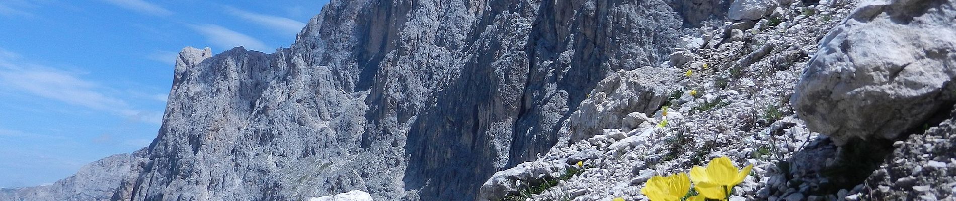 Randonnée A pied Deutschnofen - Nova Ponente - (SI C15N) Obereggen - Bivio Rifugio Coronelle - Photo