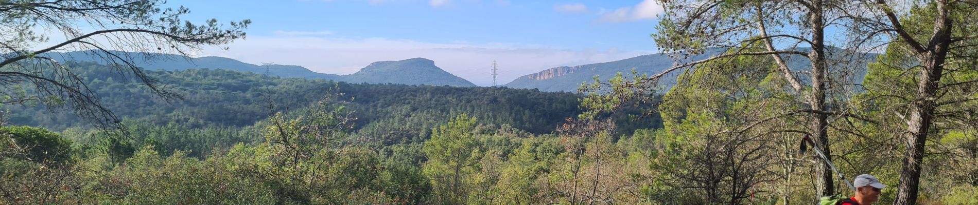 Randonnée Marche Bagnols-en-Forêt - Lac du Rioutard - Photo