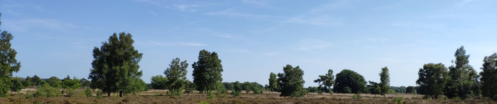 Tour Fahrrad Genk - Verrassende vergezichten - Photo