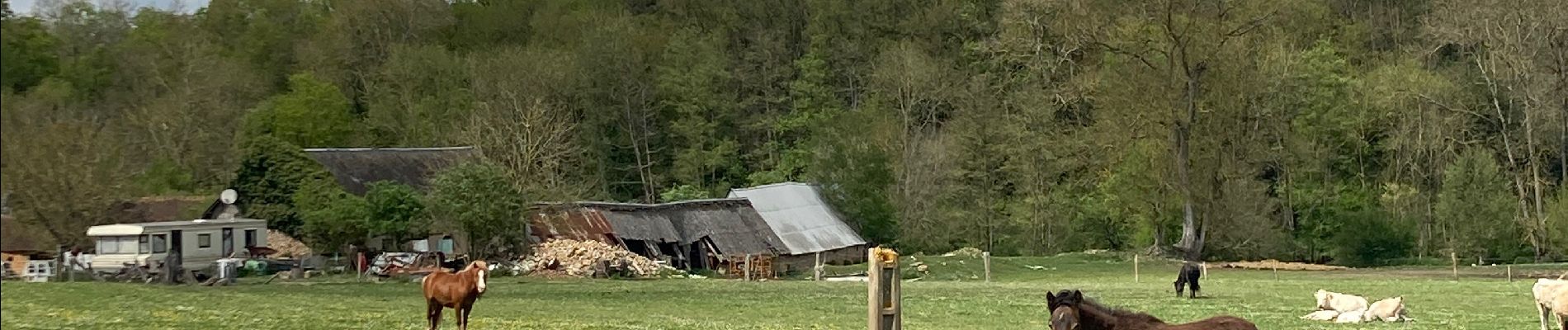 Tocht Stappen Sylvains-lès-Moulins - Villalet - Photo