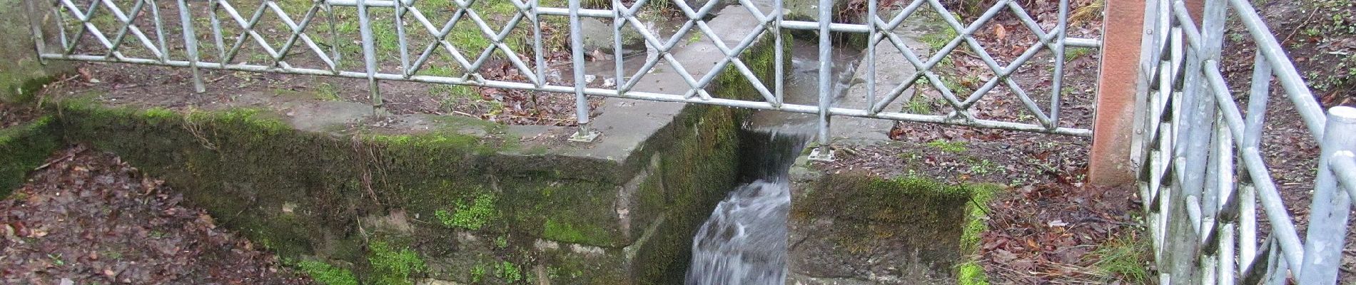 Percorso A piedi Hessisch Lichtenau - Rundwanderweg Hessisch Lichtenau HL2 - Photo