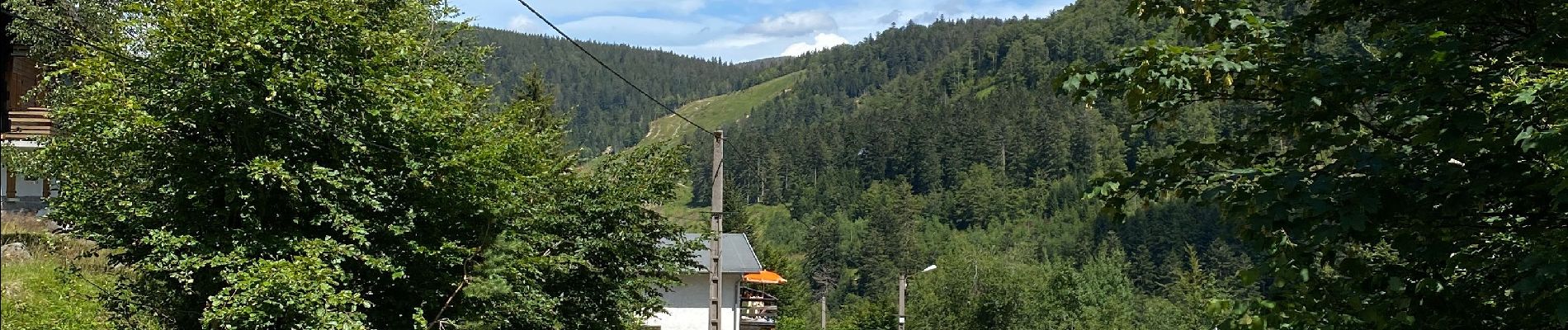 Tocht Stappen La Bresse - Bresse - Photo