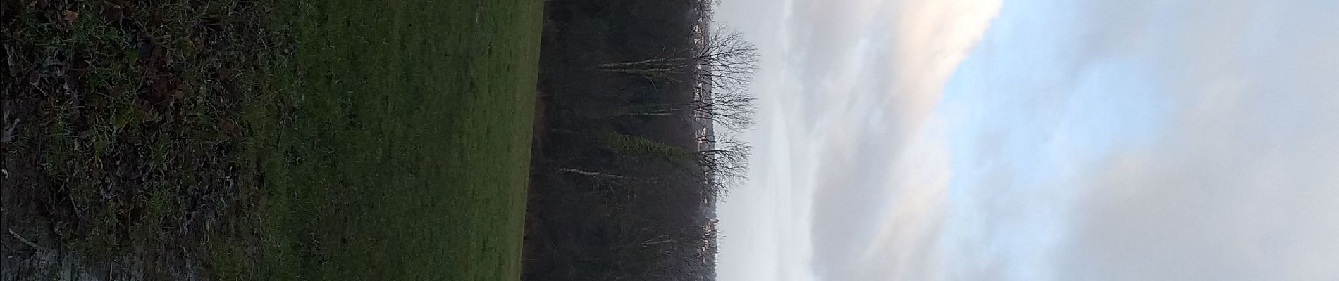 Percorso Marcia Serre-les-Sapins - serre les sapins la ménère - Photo