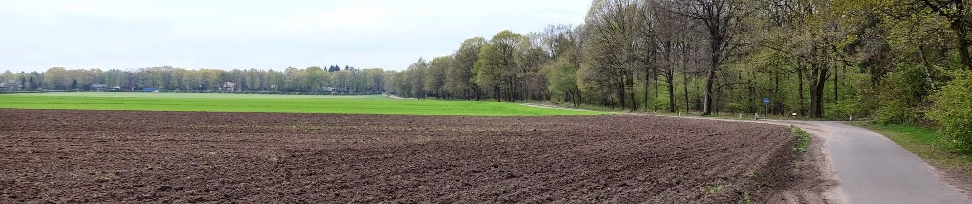 Randonnée A pied Ede - NS-wandeltocht Belmonte - Photo