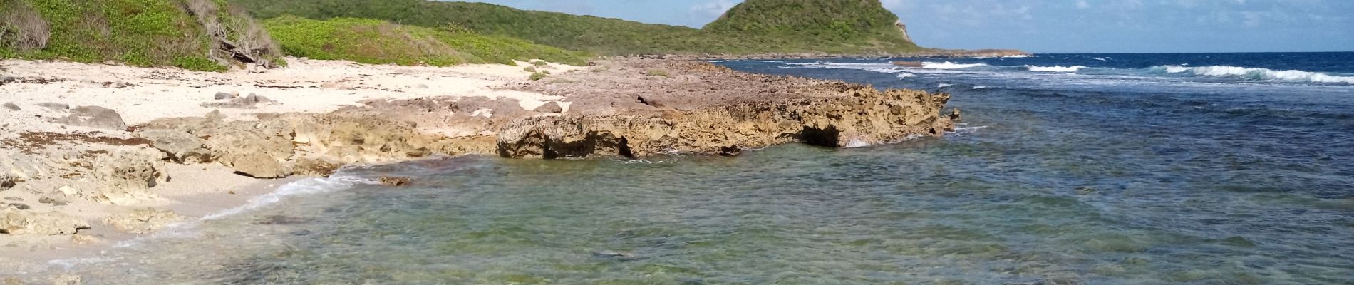 Percorso Marcia Saint-François - Morne Felicienne - Anse à la Croix - Photo