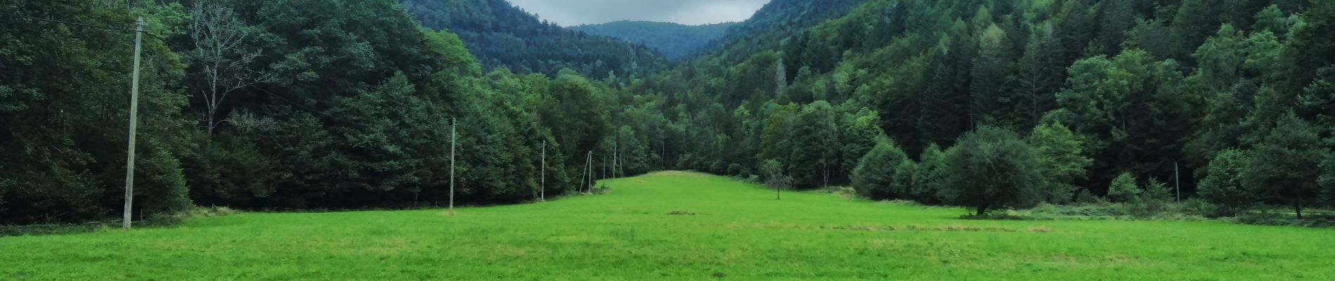 Tour Wandern Wildenstein - TREK ALSACIEN (boucle de Wildenstein) - Photo