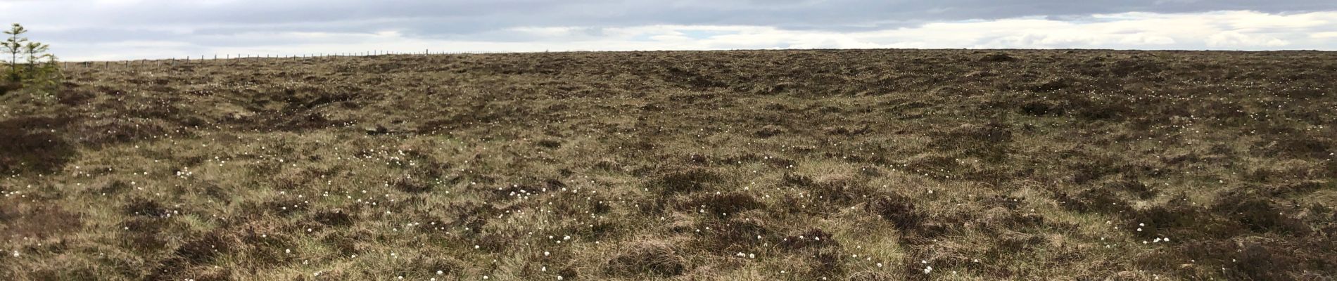 Tour Wandern Unknown - Ecosse Glenlivet Estate  - Photo