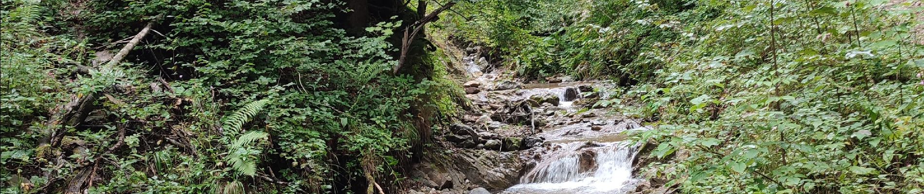 Trail Walking Gemeinde Scheffau am Wilden Kaiser - Hintersteinersee - Photo