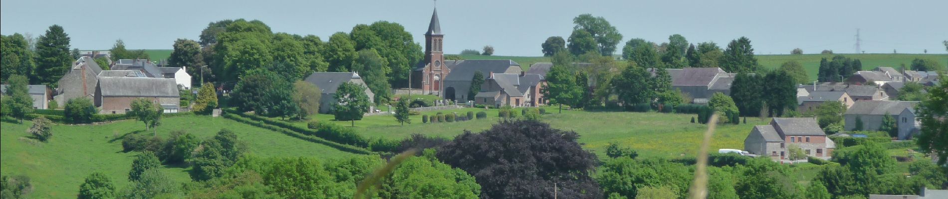 Tocht Te voet Dinant - WandArdRiv 18: Falmignoul: ruisseau de ranle en de Maas - Photo