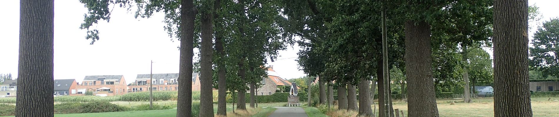 Tour Zu Fuß Wuustwezel - Uilenpad - Photo