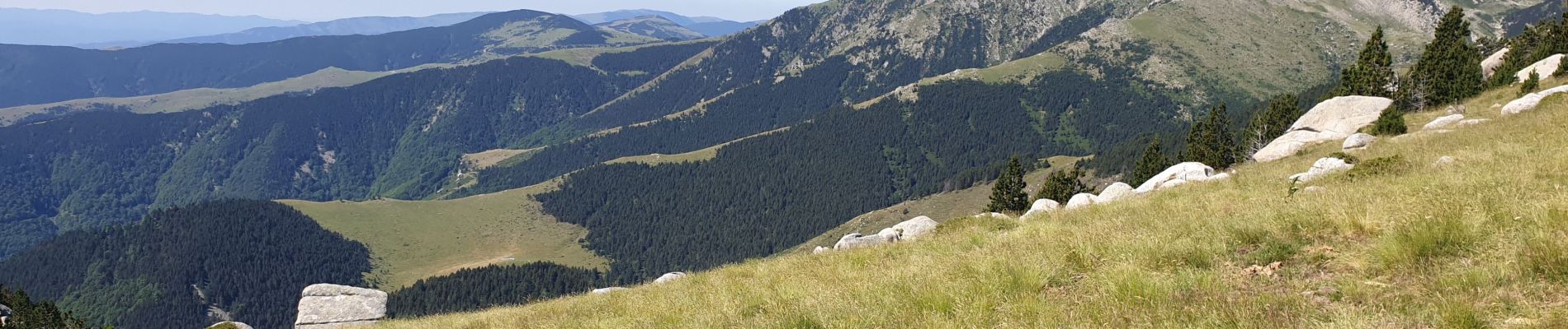 Tocht Stappen Prats-de-Mollo-la-Preste - Les Conques sources du Tech_T - Photo