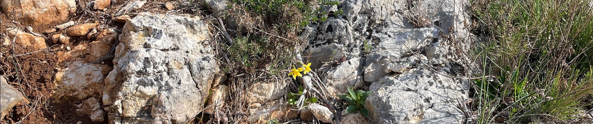 Tocht Stappen Saint-Quentin-la-Poterie - Mont bouquet  - Photo