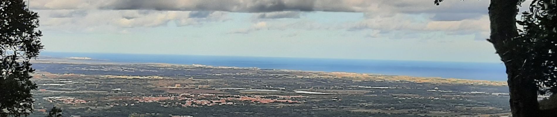 Tocht Stappen Laroque-des-Albères - mata pors - Photo