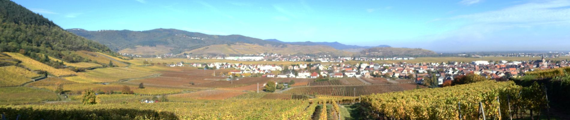 Percorso Marcia Wintzenheim - Chateaux et vignoble - Photo