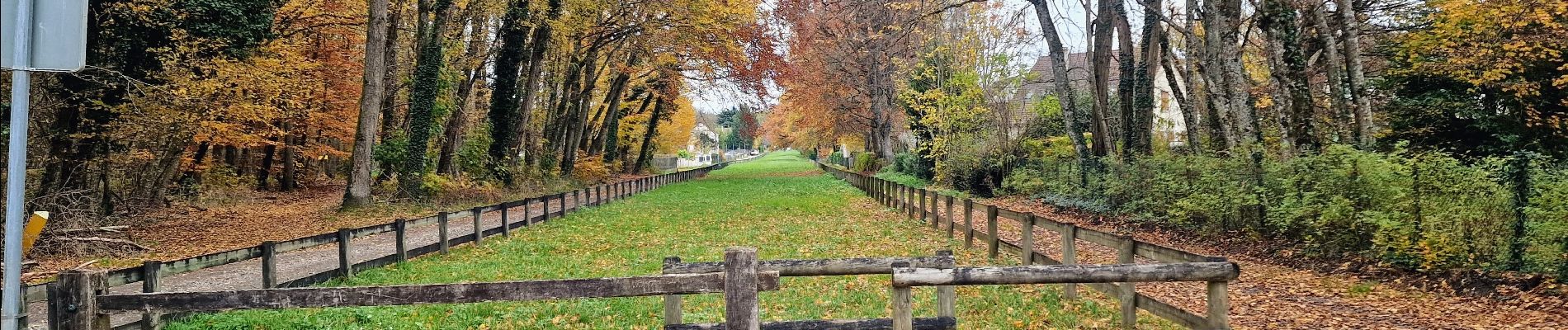 Tour Zu Fuß Fontainebleau - Sur les traces de Rosa Bonheur - Thomery - Photo