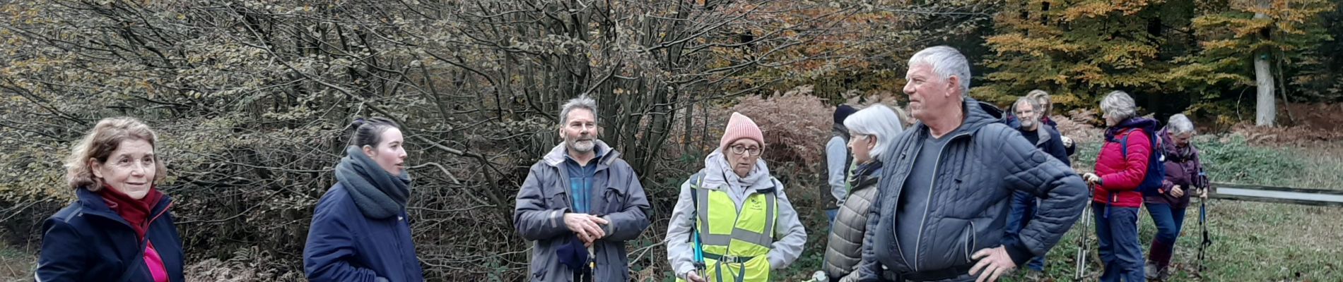 Randonnée Marche Arelaune-en-Seine - FORET BROTONNE - Photo