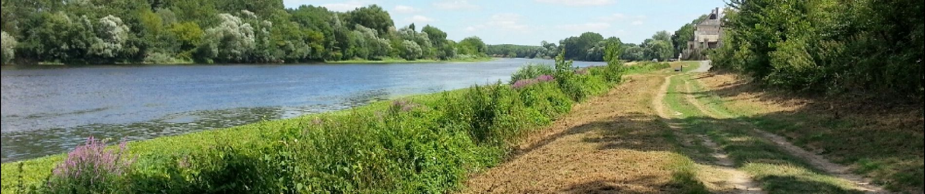 Tocht Stappen Rivière - Rivière (s Chinon) - 13km 115m 3h10 - 2017 07 14 - Photo