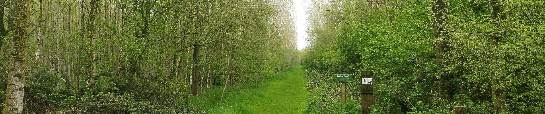 Trail On foot Lichtervelde - Heihoek wandelroute - Photo