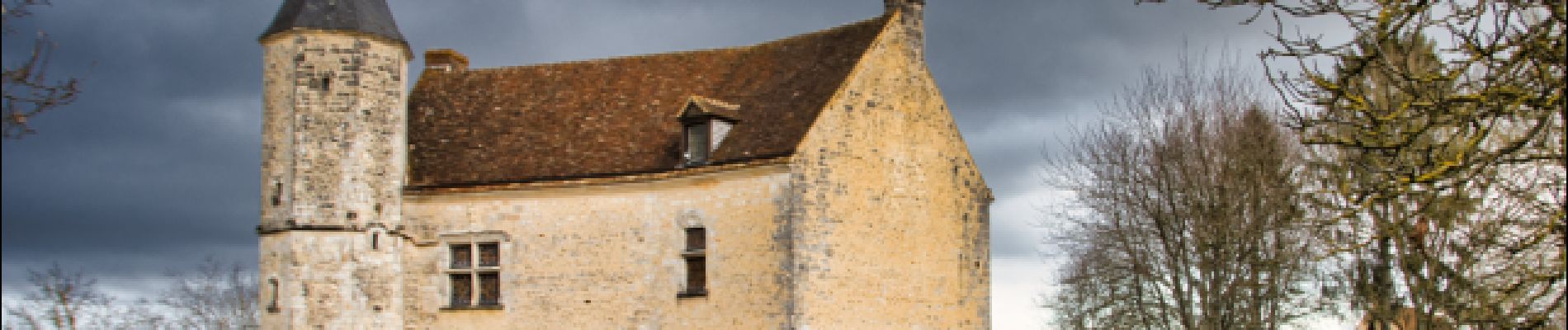 Percorso Marcia Pervenchères - [Itinéraire] Le bois du Châtaignier - Photo