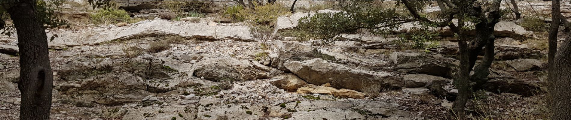 Excursión Marcha nórdica Montpeyroux - Font du Griffe Mont St Baudille Mars 2022 - Photo