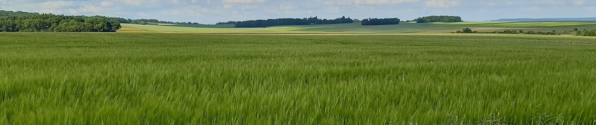 Trail Walking Magny-en-Vexin - Source de l Aubette Bis - Photo