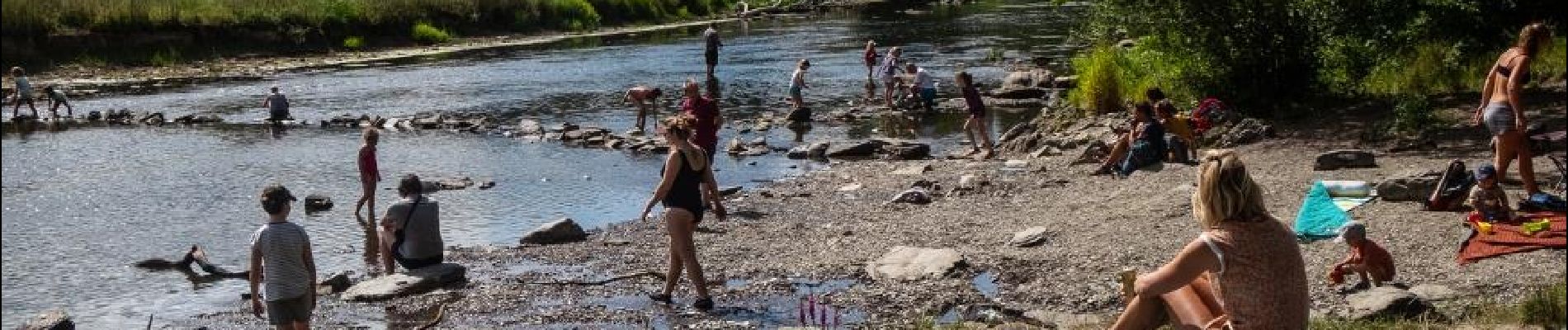 Trail Walking Herbeumont - L'Antrogne - Photo