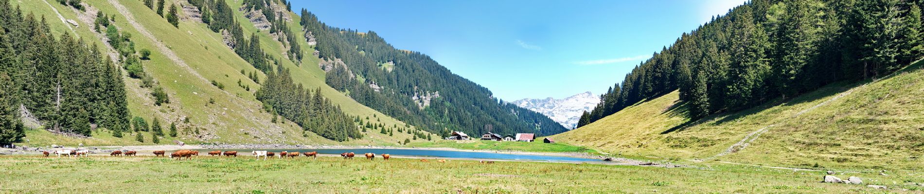 Excursión Senderismo Sixt-Fer-à-Cheval - Le Lac de Gers - Photo