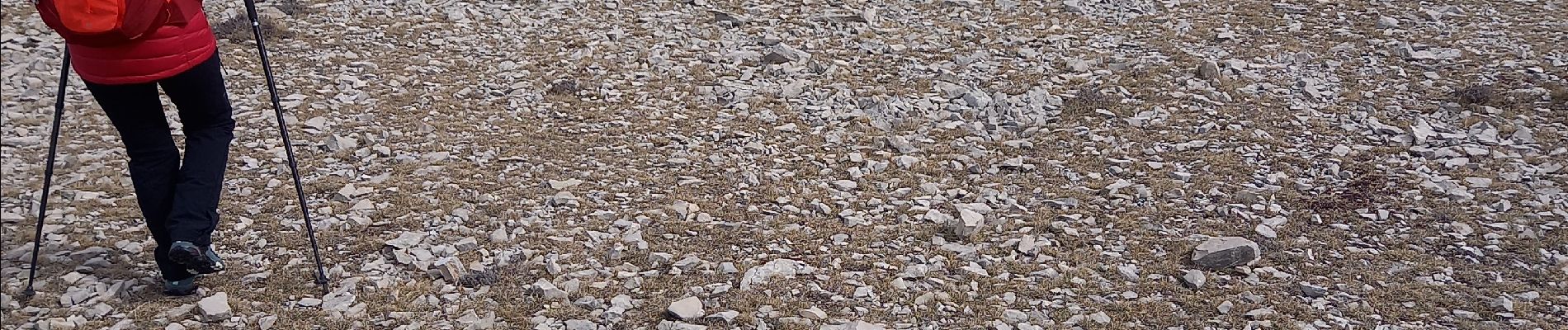 Randonnée Marche Caille - Cime de l'Audibergue  - Photo