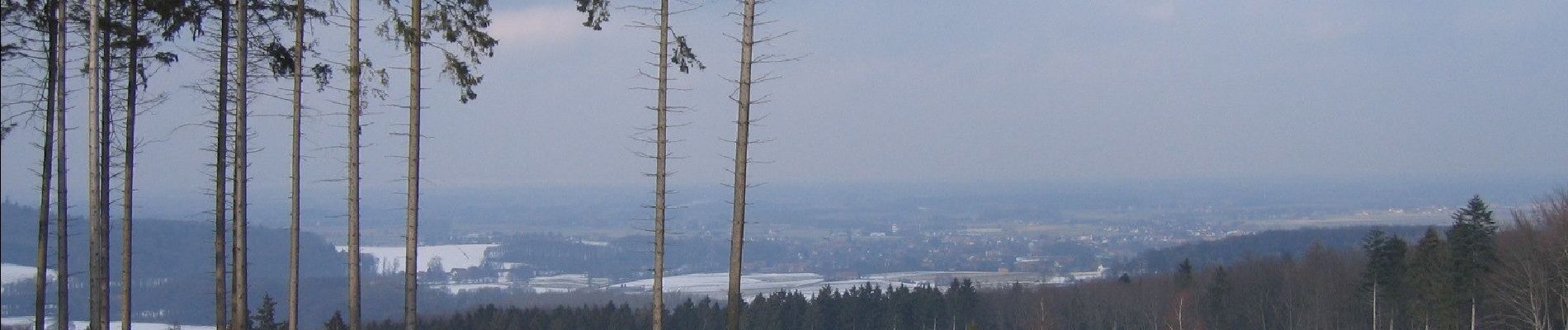 Trail On foot Preußisch Oldendorf - A2 Preußisch Oldendorf-Holzhausen - Photo