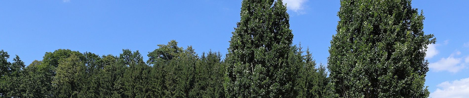 Percorso A piedi Schwarzenau - Auf dem Weg zum Mittelpunkt der Erde - Photo