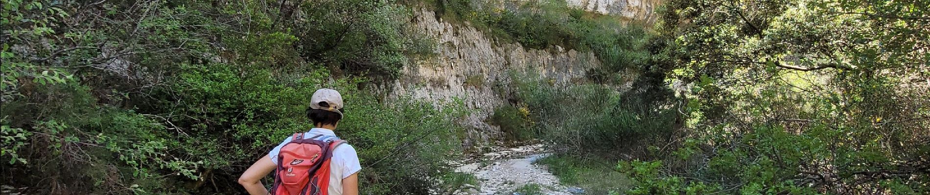 Trail On foot Gordes - les gorges de la Véroncle - Photo