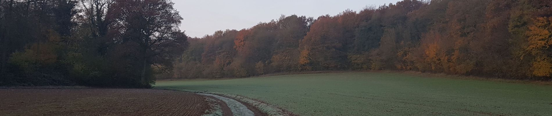 Tocht Stappen Viroinval - Adeps Mazée 17112019 - Photo