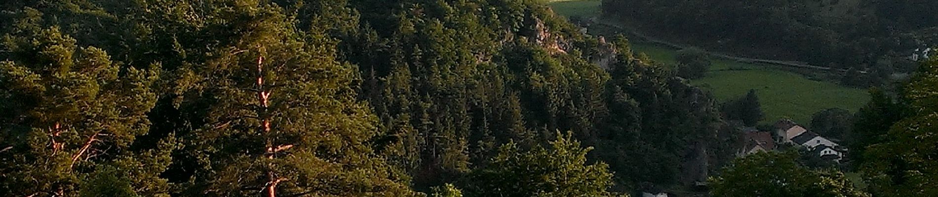 Tour Zu Fuß Mörnsheim - Ortswanderweg Mörnsheim - Photo