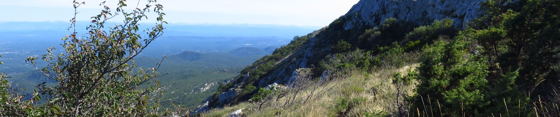 Excursión Senderismo Plan-d'Aups-Sainte-Baume - les Sangles de Sainte Beaume - Photo