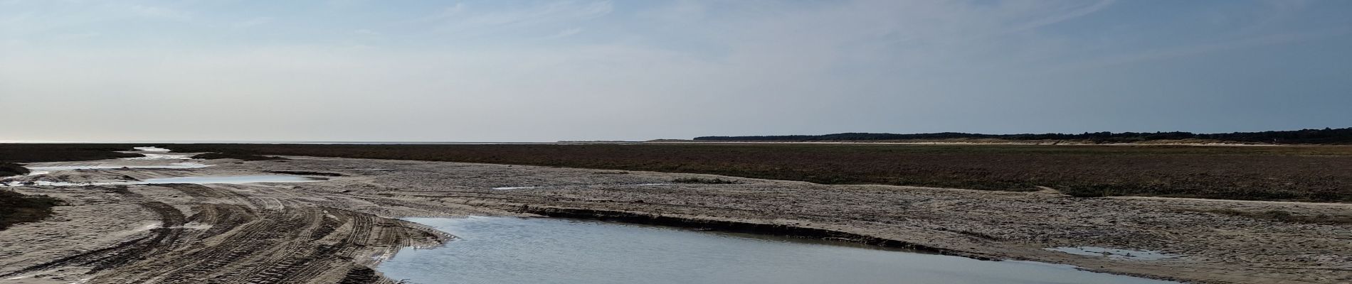 Randonnée Marche Le Crotoy - La Maille - Pointe de St Quentin - Photo