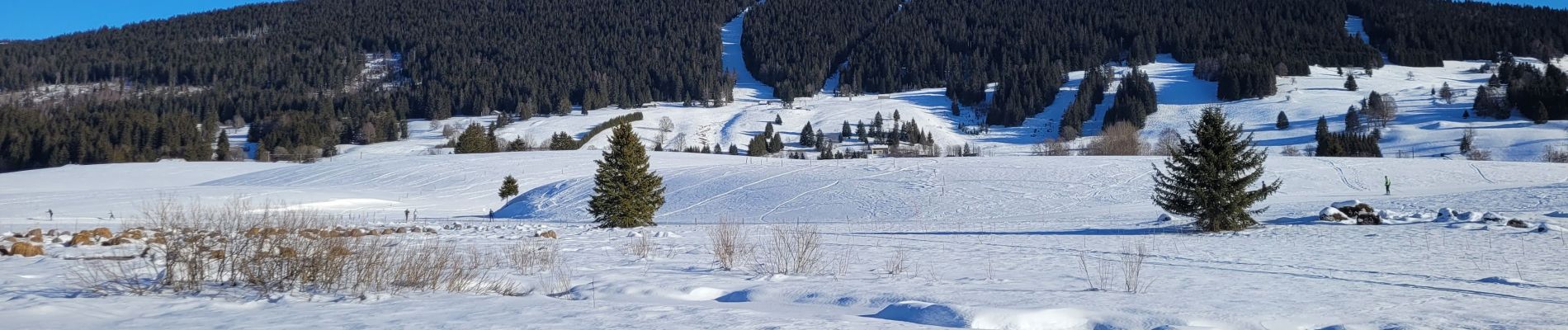 Excursión Senderismo Les Rousses - Ballade autour du lac des Rousses sous la neige - Photo