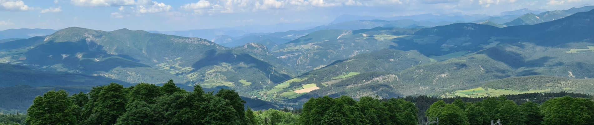 Tocht Stappen Valdrôme - Valdrome - Montagne de l Aup - Photo