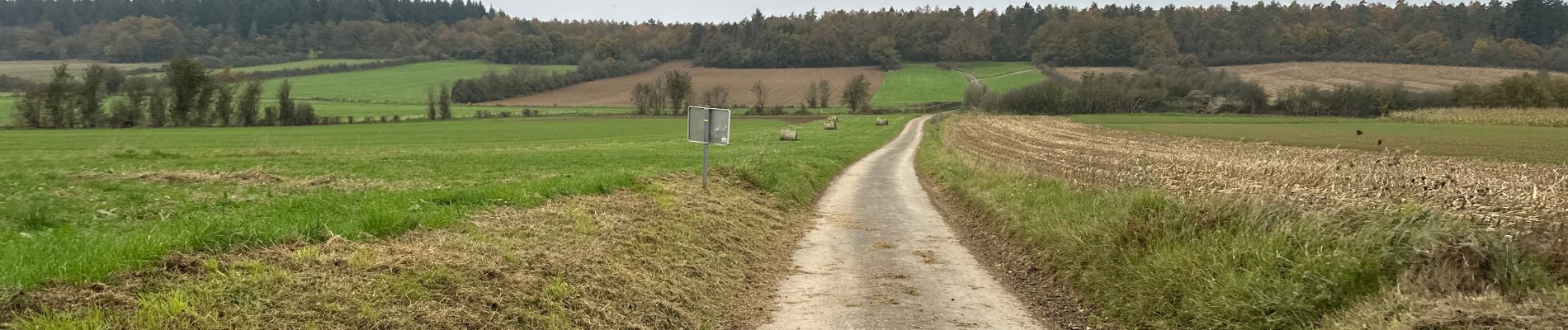 Excursión Senderismo Beauraing - Pondrôme 23 km - Photo