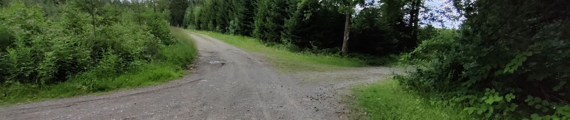 Tocht Stappen Ferrières - Du Bois de ville au Bois de Xhoris - Photo